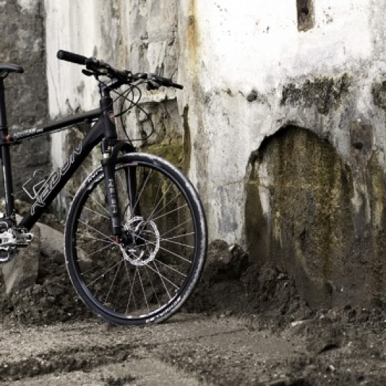 Radon ZR Team Only 7.0